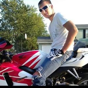 Meet your Posher, Ginger